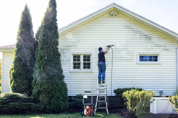 Best Roof Cleaning and Mildew Removal in Beresford, SD
